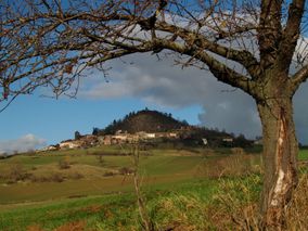 Paysage